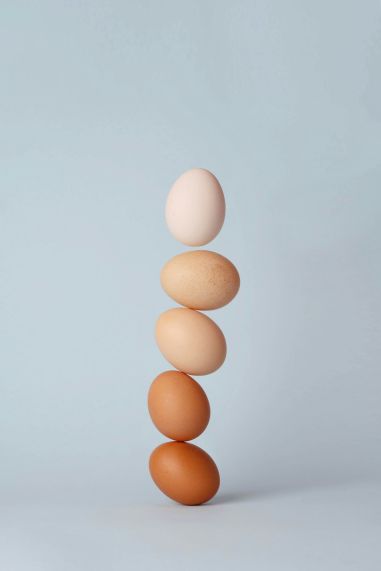 Eggs.jpg Eggs.jpg